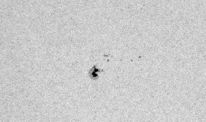 Sonnenfleck AR2202 im Weißlicht