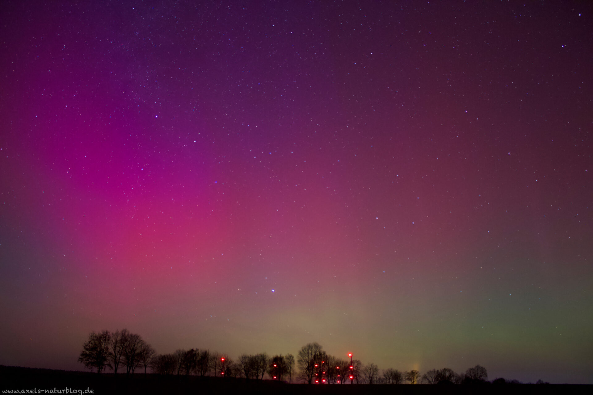 Polarlichter arm 20. January 2026