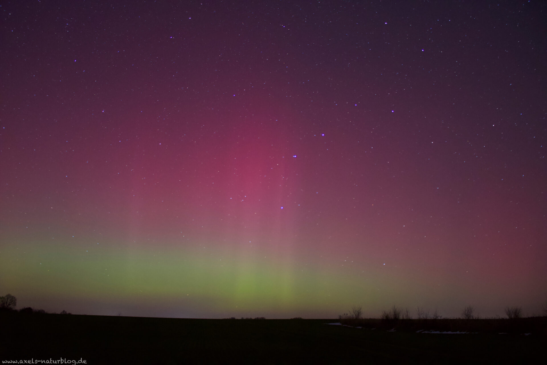 Polarlichter 20. Januar 2026