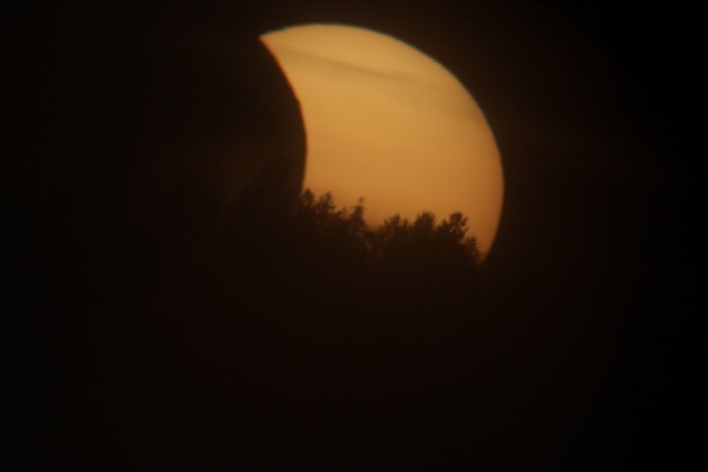 Untergehende Sonne mit Bäumen im Vordergrund
