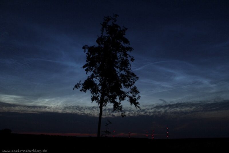 Nachtleuchtnde Wolken (NLC)