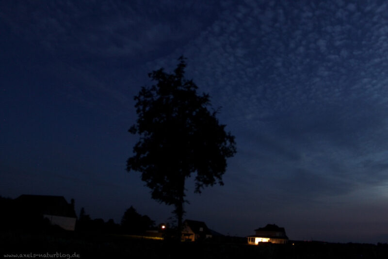 Nachtleuchtnde Wolken (NLC)