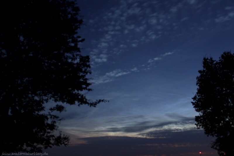 Nachtleuchtnde Wolken (NLC)