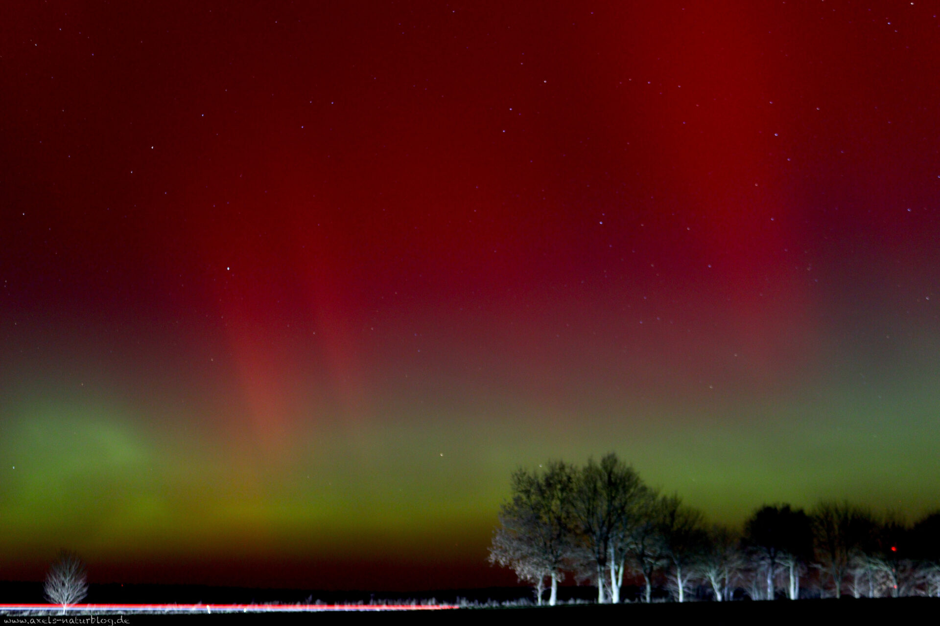 Polarlichter (Aurora) 19/20. Januar 2026 