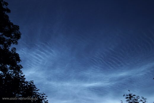 Nachtleuchtende Wolken (NLC)
